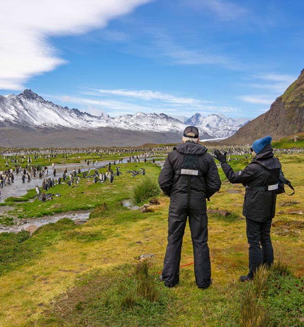 Fortuna Bay, South Georgia