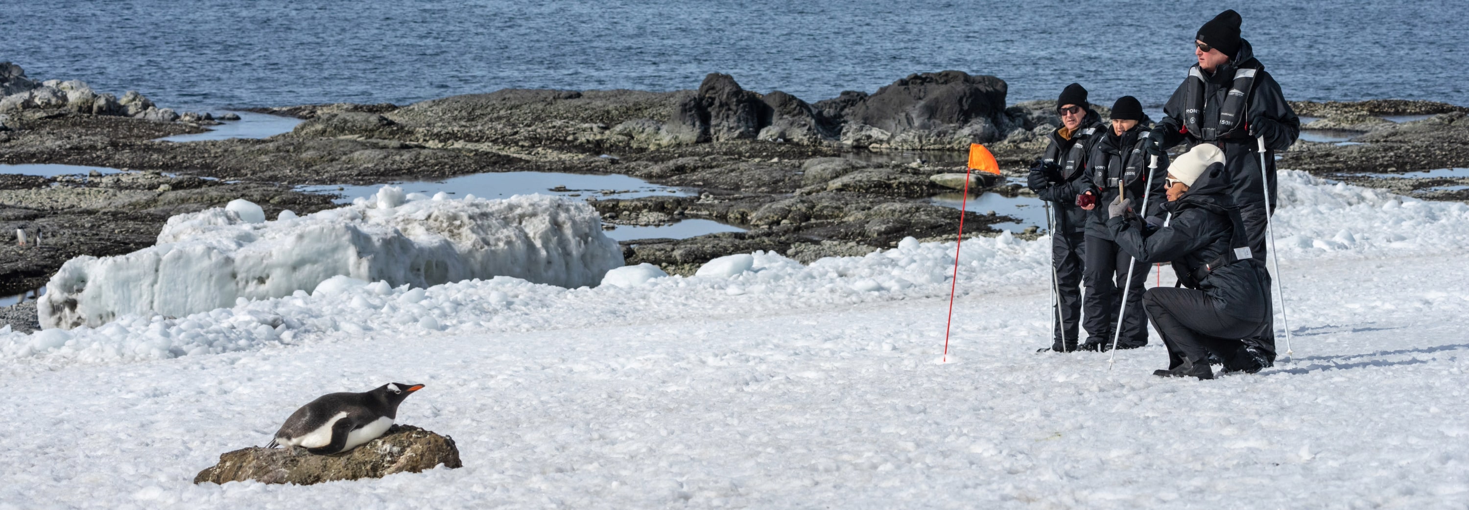 Antarctica Photos Brown Bluff Pablo Bianco