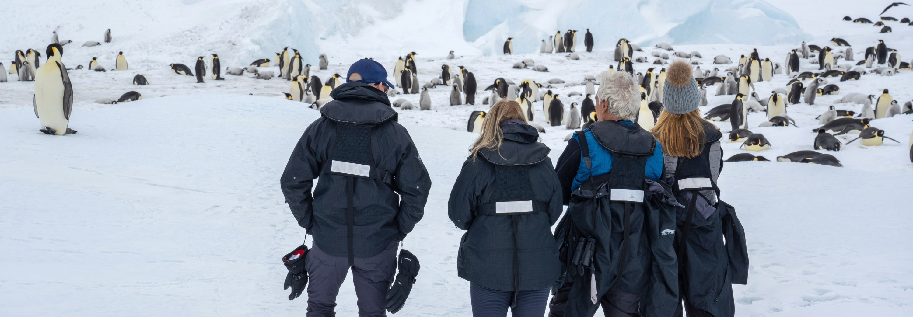 Snow Hill Island Heli Excursion Emperor Penguin Martin Bianco