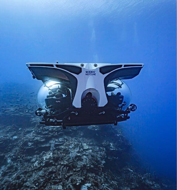 Scenic Neptune at Trident Wall, Port Antonio