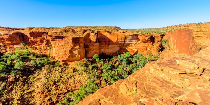 Red cliffs and lush greenery at Kings Canyon, Australia