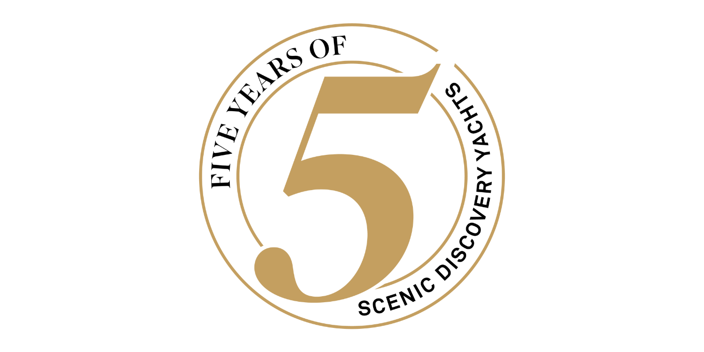 5 Year Anniversary Campaign Banner